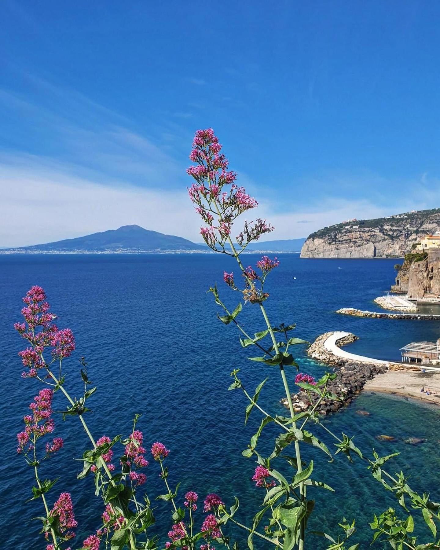 Casa Vacanze Imma Соренто Екстериор снимка